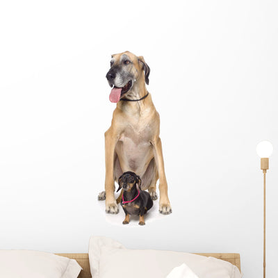 Great Dane and Dachshund Wall Decal shown on a wall