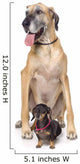 Great Dane And Dachshund Portrait Wall Decal