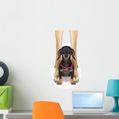 Great Dane and Dachshund Wall Mural shown on a wall