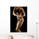 Female Bodybuilder Wall Mural