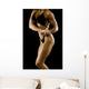 Female Bodybuilder Wall Mural