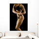 Female Bodybuilder Wall Mural