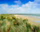 Sandunes At Fethard, Co Wexford, Ireland Wall Mural