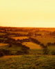 View From Uisneach, Mullingar, Co Westmeath, Ireland Wall Mural