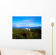 Wild Horse, Bantry Bay, Co Kerry, Ireland Wall Mural