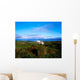 Wild Horse, Bantry Bay, Co Kerry, Ireland Wall Mural