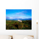 Wild Horse, Bantry Bay, Co Kerry, Ireland Wall Mural