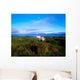 Wild Horse, Bantry Bay, Co Kerry, Ireland Wall Mural