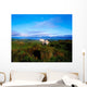Wild Horse, Bantry Bay, Co Kerry, Ireland Wall Mural
