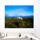 Wild Horse, Bantry Bay, Co Kerry, Ireland Wall Mural