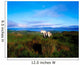 Wild Horse, Bantry Bay, Co Kerry, Ireland Wall Mural