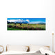 Dooega, Achill Island, County Mayo, Ireland Wall Mural