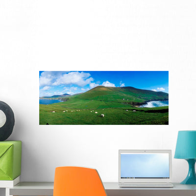 Slea Head Dingle Peninsula Wall Mural shown on a wall