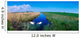 Swans On Bog, Near Newcastle, Co Wicklow, Ireland Wall Mural
