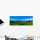 Beara Peninsula, West Cork, County Cork, Ireland Wall Mural