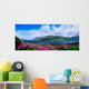 Killary Harbour, County Galway, Ireland Wall Mural