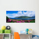 Killary Harbour, County Galway, Ireland Wall Mural