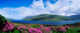 Killary Harbour, County Galway, Ireland Wall Mural