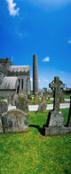 St Canice's Cathedral, Kilkenny City, County Kilkenny, Ireland Wall Mural