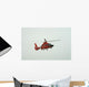 Rescue Helicopter Wall Mural