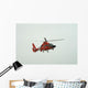Rescue Helicopter Wall Mural