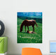 Thoroughbred Mare And Foal, Ireland Wall Mural