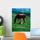 Thoroughbred Mare And Foal, Ireland Wall Mural