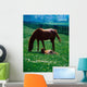 Thoroughbred Mare And Foal, Ireland Wall Mural
