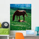 Thoroughbred Mare And Foal, Ireland Wall Mural