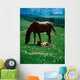 Thoroughbred Mare And Foal, Ireland Wall Mural