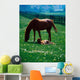 Thoroughbred Mare And Foal, Ireland Wall Mural