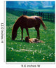 Thoroughbred Mare And Foal, Ireland Wall Mural