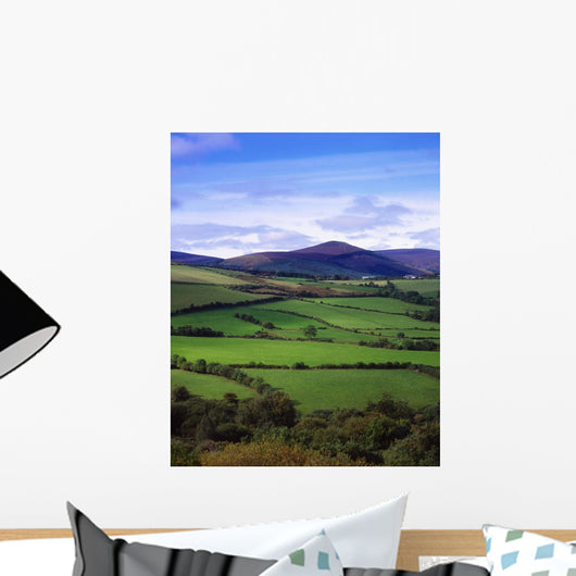 Fields From The Sugar Loaf Mountain, Co Wicklow, Ireland Wall Mural