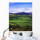 Fields From The Sugar Loaf Mountain, Co Wicklow, Ireland Wall Mural