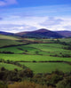 Fields From The Sugar Loaf Mountain, Co Wicklow, Ireland Wall Mural