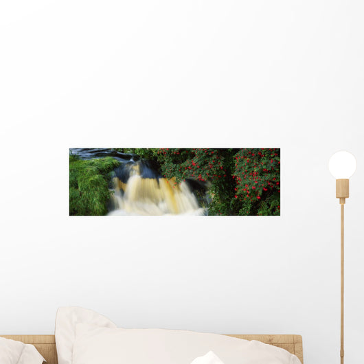 Waterfall And Fuschia, Ireland Wall Mural