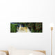 Waterfall And Fuschia, Ireland Wall Mural