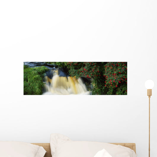 Waterfall And Fuschia, Ireland Wall Mural