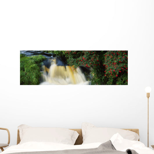 Waterfall And Fuschia, Ireland Wall Mural