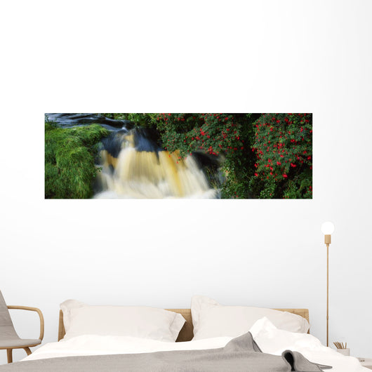 Waterfall And Fuschia, Ireland Wall Mural