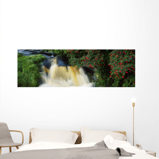 Waterfall And Fuschia, Ireland Wall Mural