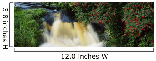 Waterfall And Fuschia, Ireland Wall Mural