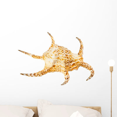 Conch Sea Shell Wall Decal shown on a wall