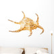 Conch Sea Shell Wall Decal