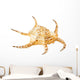 Conch Sea Shell Wall Decal