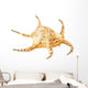 Conch Sea Shell Wall Decal