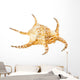 Conch Sea Shell Wall Decal