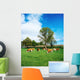 Hereford Bullocks Wall Mural