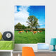 Hereford Bullocks Wall Mural