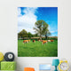 Hereford Bullocks Wall Mural